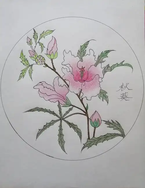 不忘初心,方得始终!我的工笔画