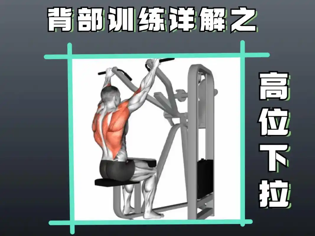 健身合集之背部训练||高位下拉.背部之所以难找到发力感,是因 - 抖音