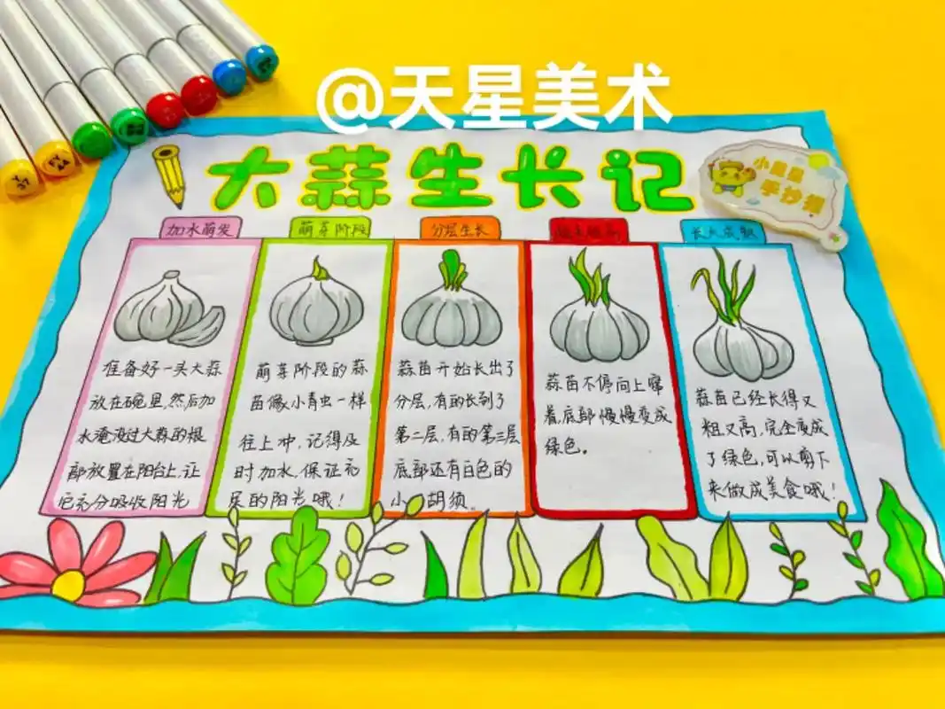 大蒜生长记录画.植物观察记录画,大蒜生长记,手抄报96线稿 - 抖音