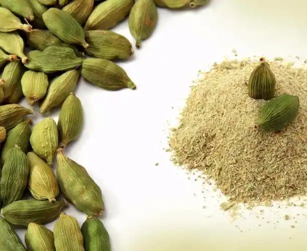 fresh green cardamon