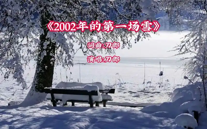 刀郎《2002年的第一场雪》完整版