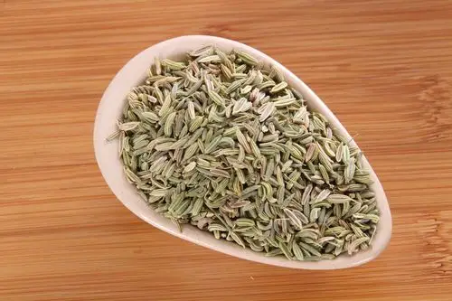 图片大全 美食世界 味道特殊的调料茴香图片 > 味道特殊的调料茴香