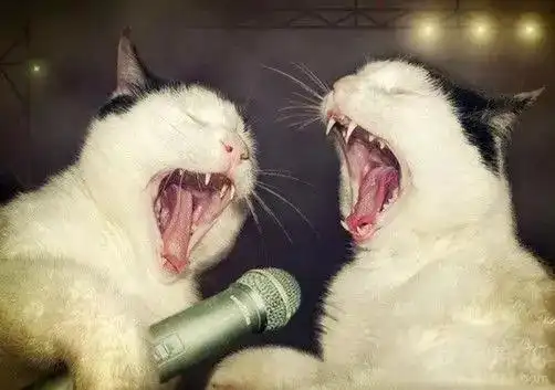 我有一个总喜欢脱光衣服大声唱歌的学姐