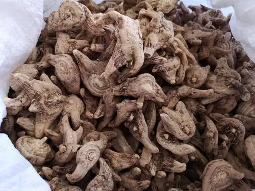 白及的作用与功效白芨市场价格多少钱一公斤