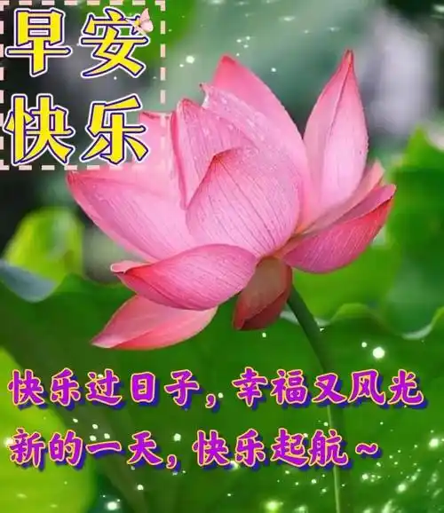 9张最新创意漂亮的早上好祝福图片带字温馨 2023唯美夏天早安问候祝福