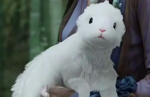 神话故事:白泽属于上古神兽的传说