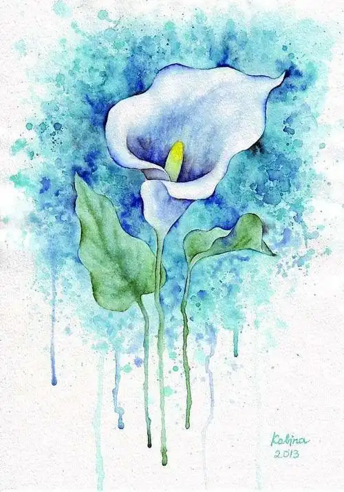 清新手绘马蹄莲