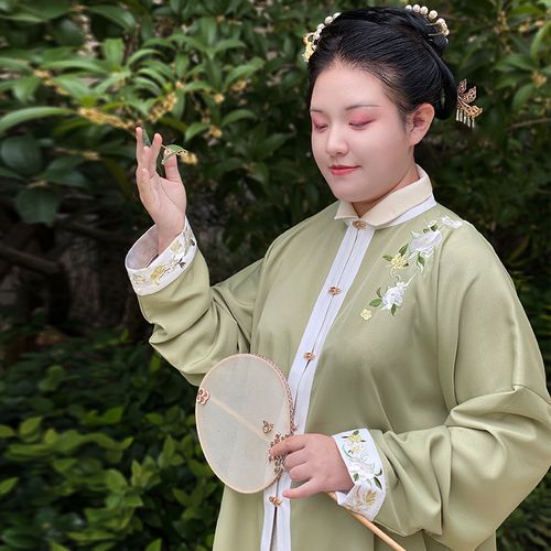 随淇自然原创大码汉服女秋冬明制立领绣花窄袖对襟上衫胖mm200斤