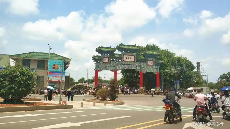 不一样的视角—吴川江心岛生态公园元气满满的一天