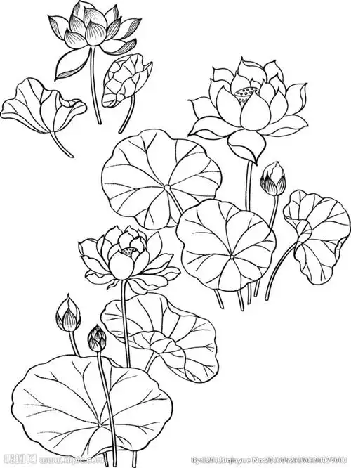 10:27:06莲花专辑小心啊蜡笔小兴啊同采自www