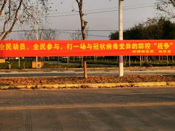 疫情下的宣传标语,一村更比一村棒_横州市融媒体中心