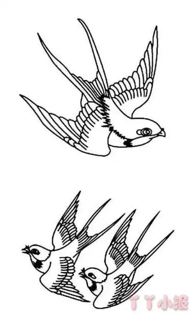 怎么画小燕子简笔画带步骤简单又好看涂色