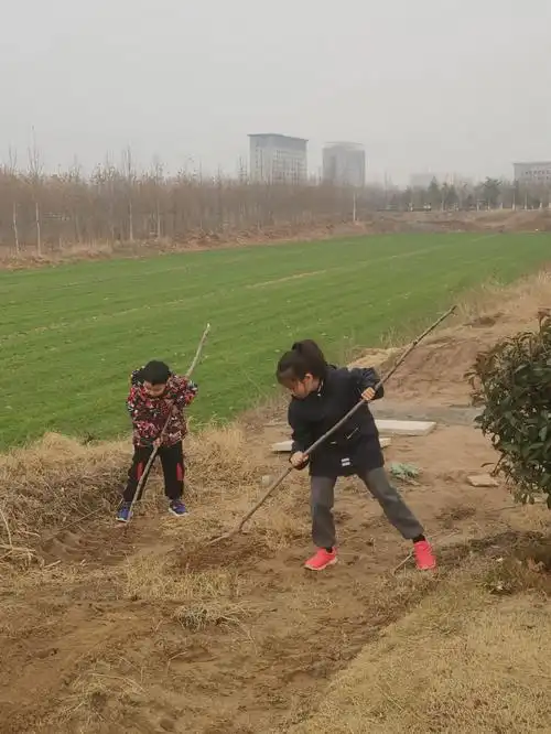 户外玩耍25小时