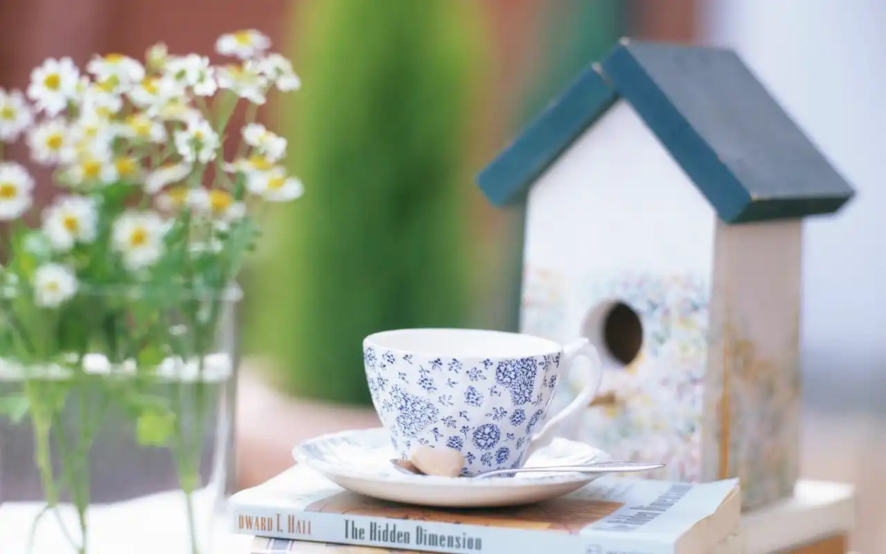 电脑壁纸 摄影 静物写真 精致生活简约之美