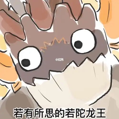 今天是帅气的坨子哥