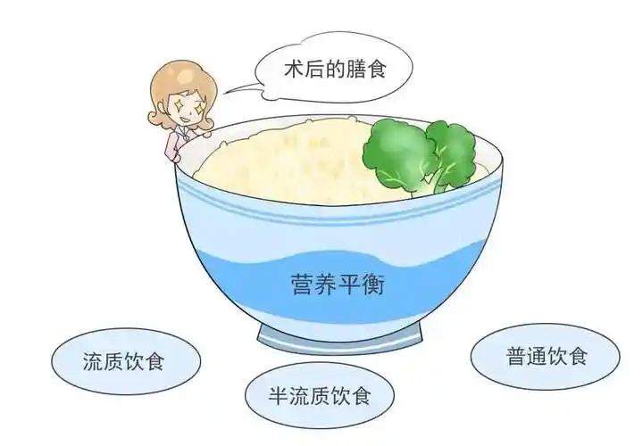 肿瘤患者如何在不同阶段调整饮食?