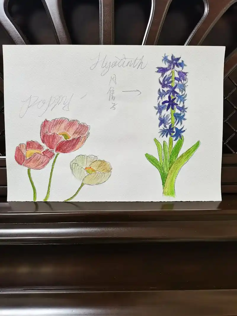 28 美丽花朵(绘画|水彩|果花甘01).2018.02 虞