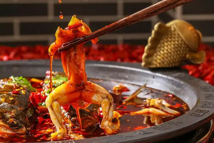 红红绿绿美蛙鱼