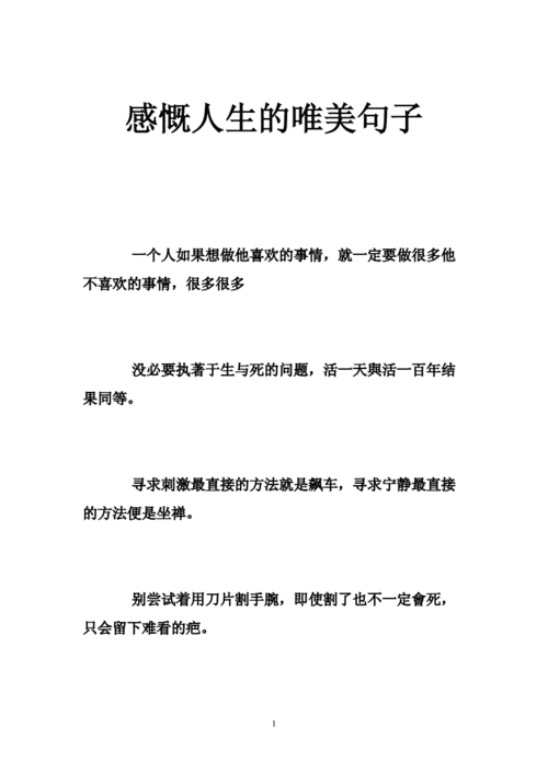 感慨人生的唯美句子doc47页