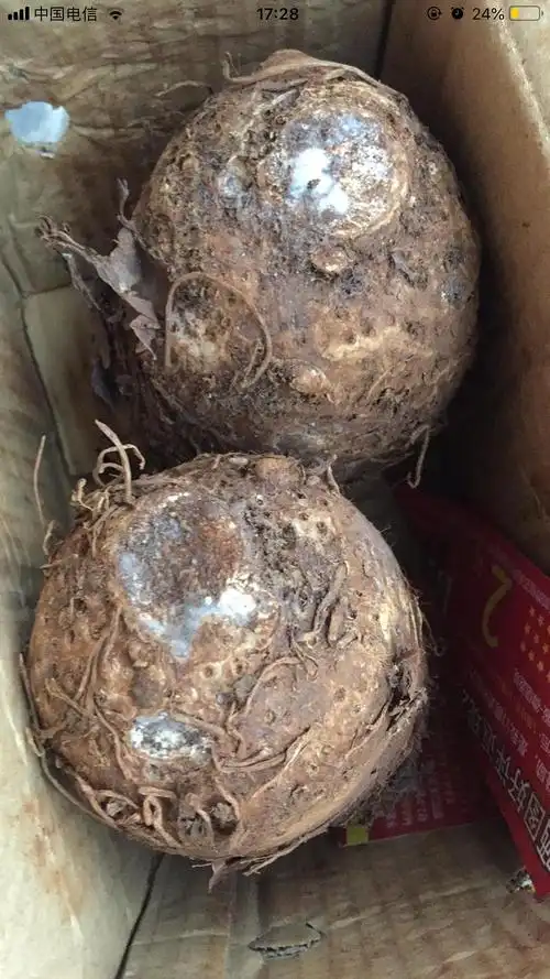 请问芋头有部分霉变其他部分还能食用吗