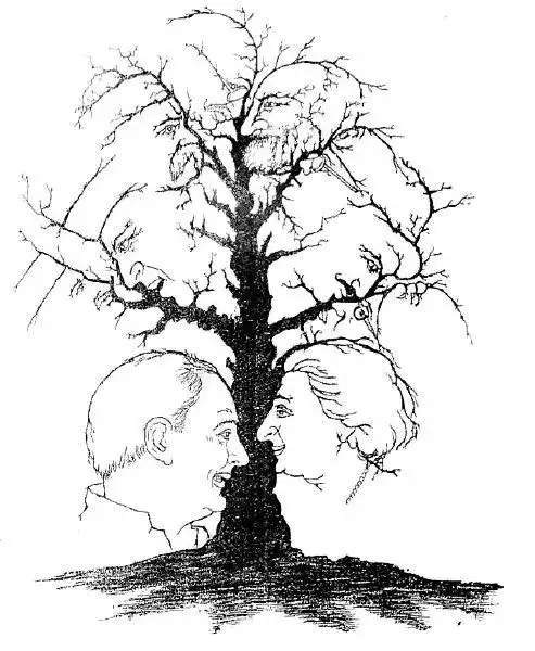 看图考眼力:您有敏锐的观察能力吗?