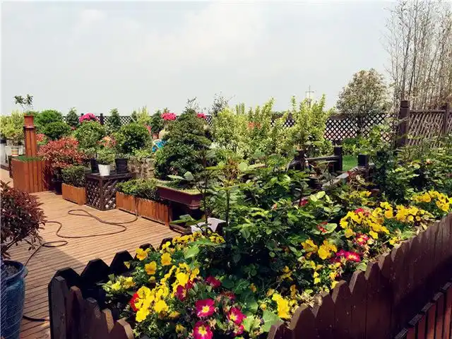 130平的屋顶花园大改造比预计来的要好