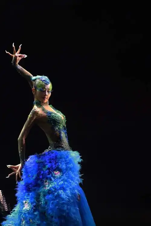 雀之灵一一舞蹈艺术家杨丽萍一