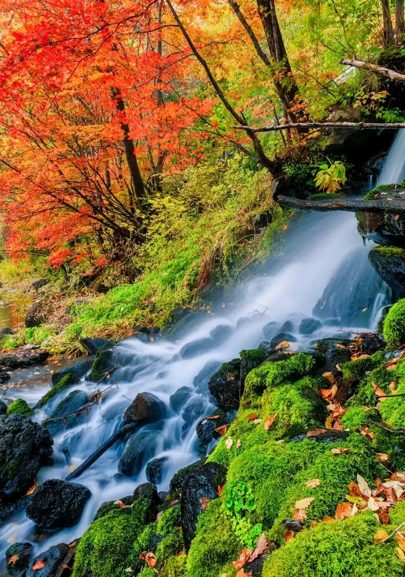 原创摄影 #我用摄影看世界 #每一帧都是热爱 #自然风光  - 抖音