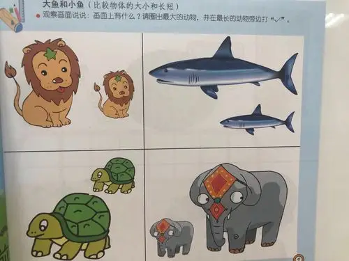 活动:比较物体的大小和长短