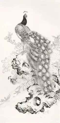 陈军老师工笔画孔雀分段图