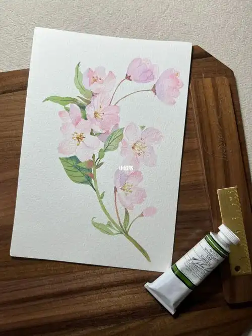 水彩脱稿垂丝海棠