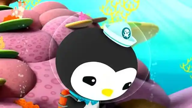 海底小纵队:皮医生的第一次开壳行动进行的很好