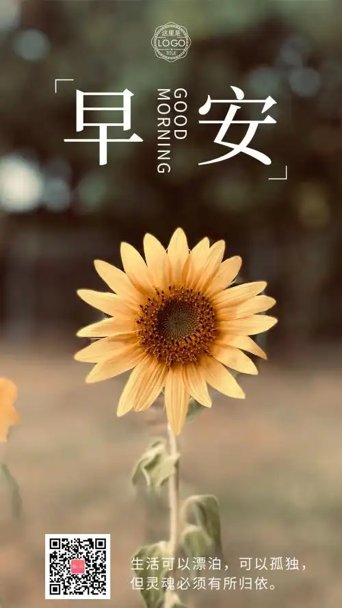 简约向日葵励志早安日签