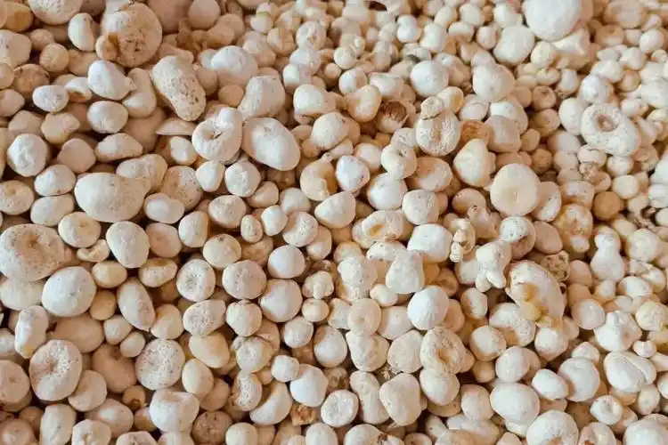 贵州省毕节地区半夏货源充足