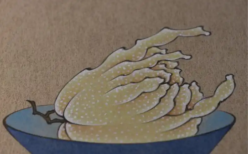 【国画】工笔佛手