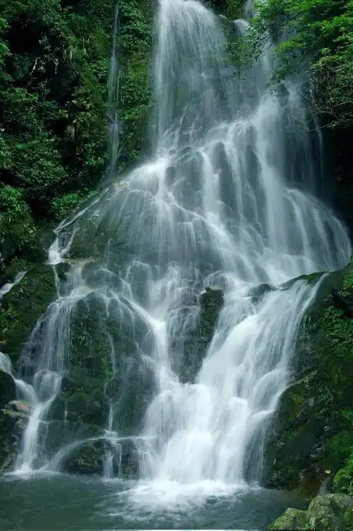 赣州森林旅游专栏森林公园江西阳明山国家森林公园