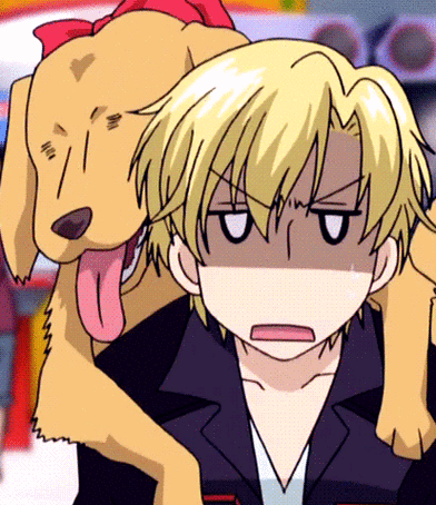 樱兰高校男公关部##须王环0408生日快乐