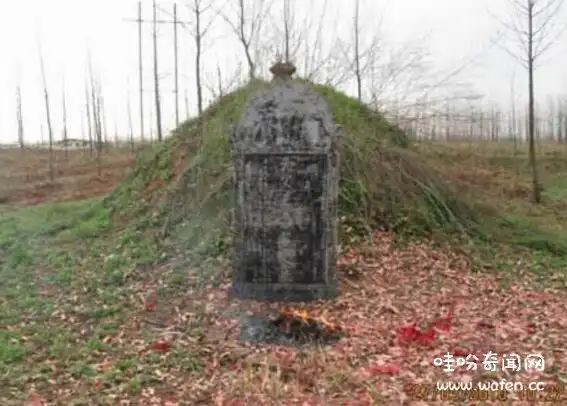 揭秘坟墓长什么草后人发财,响铃草和镰草使后人发财/杂草诸事不顺_m.