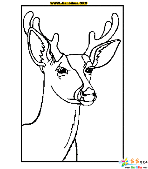 冰封鹿的简笔画