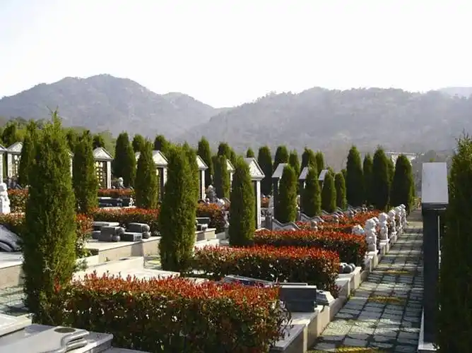 新乡农村匆忙推行的全部火葬,殡仪馆吃紧,公墓还未建