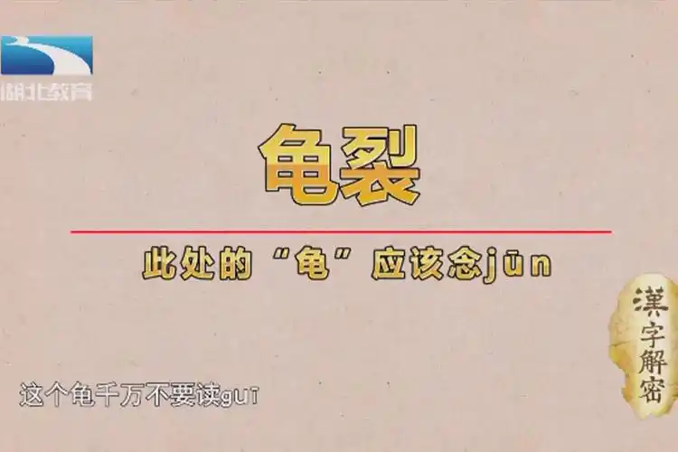 汉字解密武大教授方言解读龟字读音是gui还是jun分得清吗