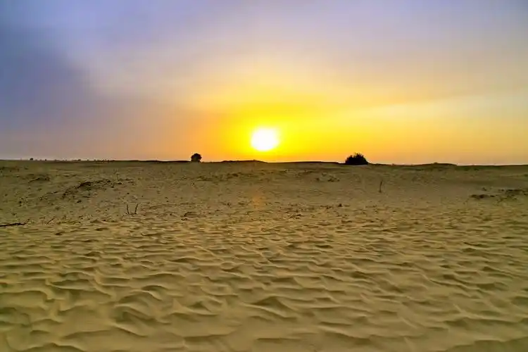 《沙漠日出》摄于南疆沙漠胡杨林,可以看到沙似海浪上的金色晨光,美!