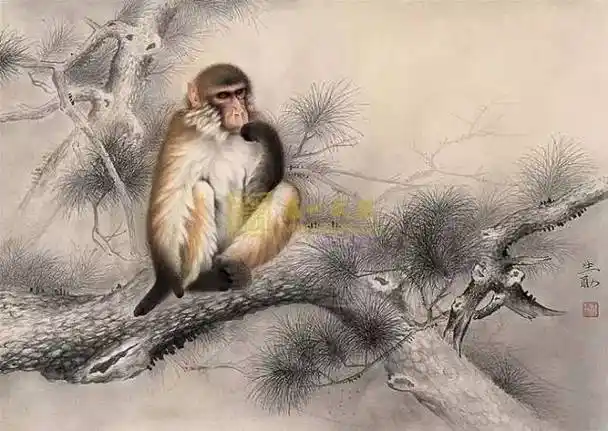 轻松入门画牡丹梅兰竹菊,紫藤,牡丹的步骤画法一组最美国画荷花:出