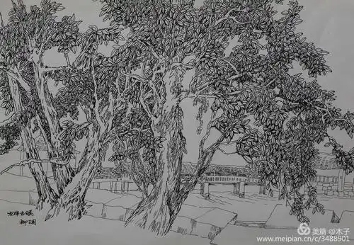 岁月流芳_钢笔写生画展