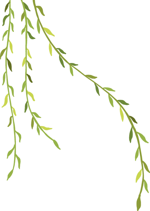 杨氏太极拳第五代传人赵幼斌先生太极万里行活动在临朐县全民健身中心