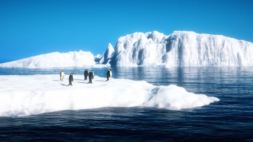 南极冰山