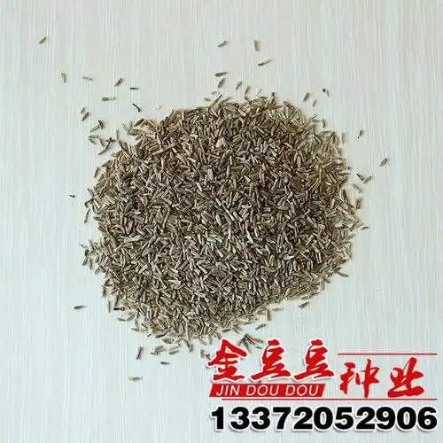 西洋滨菊种子低价批发大滨菊种子花草种子出芽率高菊花种子