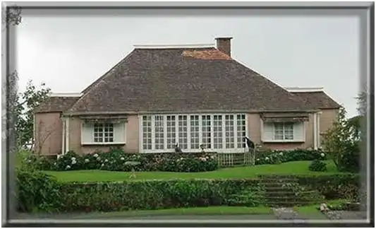 牙买加蓝山一号克里夫顿庄园咖啡风味正宗牙买加蓝山咖啡豆特点