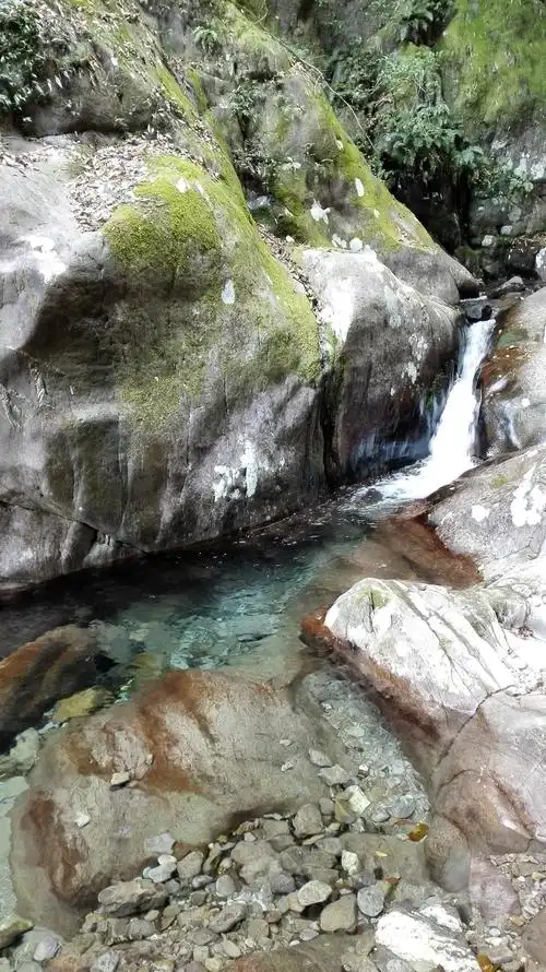 江西省 宜春市 靖安 三爪仑风景区