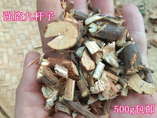 贵州苗家野生强盗九杆子 中药材绣线菊火烧尖一撮椒干货500g包邮